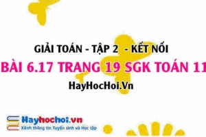 Bài 6.17 trang 19 Toán 11 tập 2 Kết nối tri thức